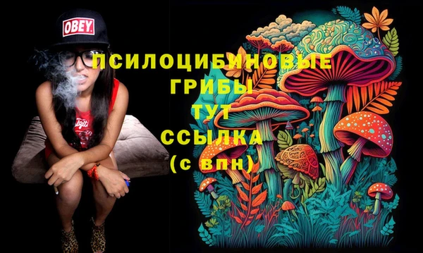 MDMA Каменногорск