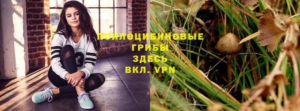 MDMA Каменногорск