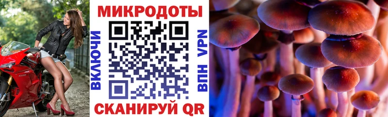 Купить закладки  Исилькуль  Псилоцибиновые грибы MAGIC MUSHROOMS 